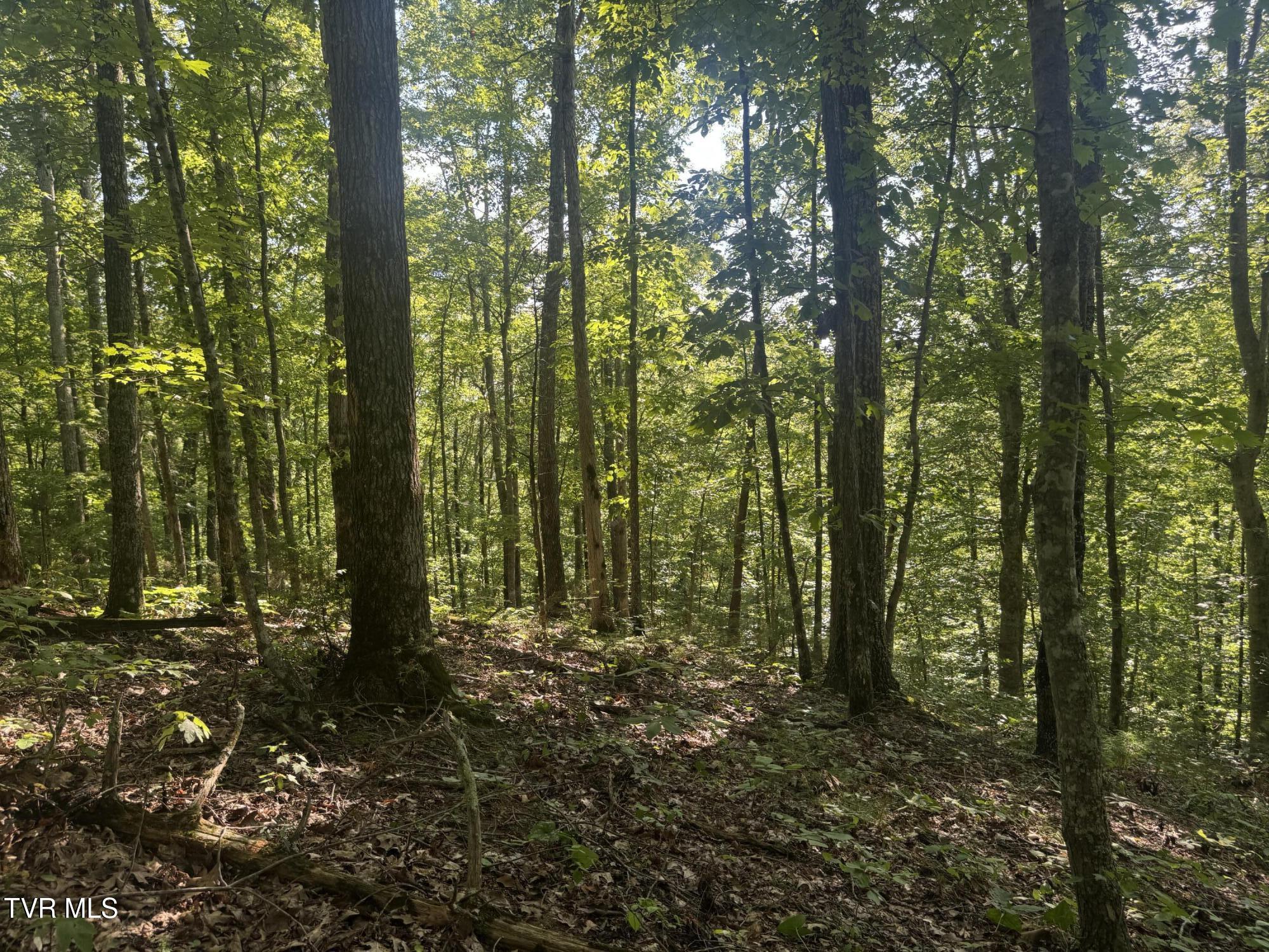 1430 Roaring Fork Road Property Photo 36