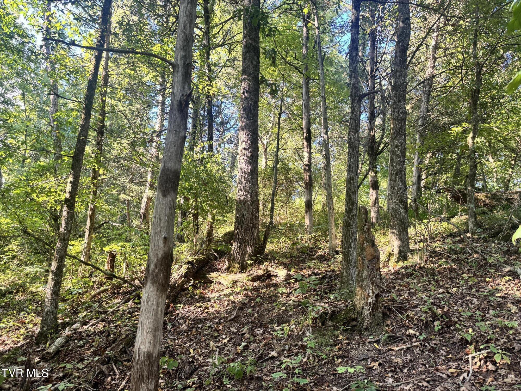 1430 Roaring Fork Road Property Photo 38