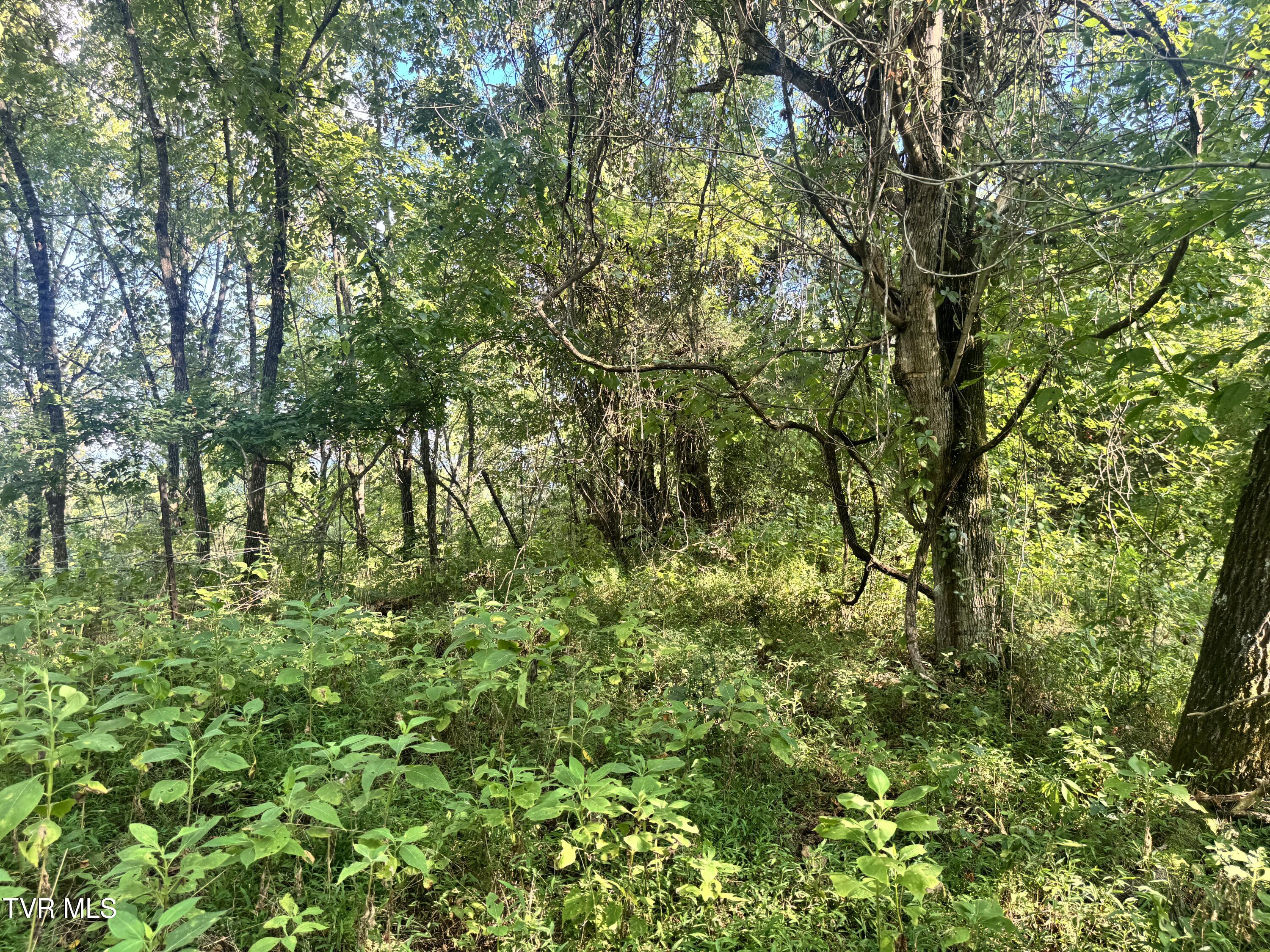 1430 Roaring Fork Road Property Photo 39