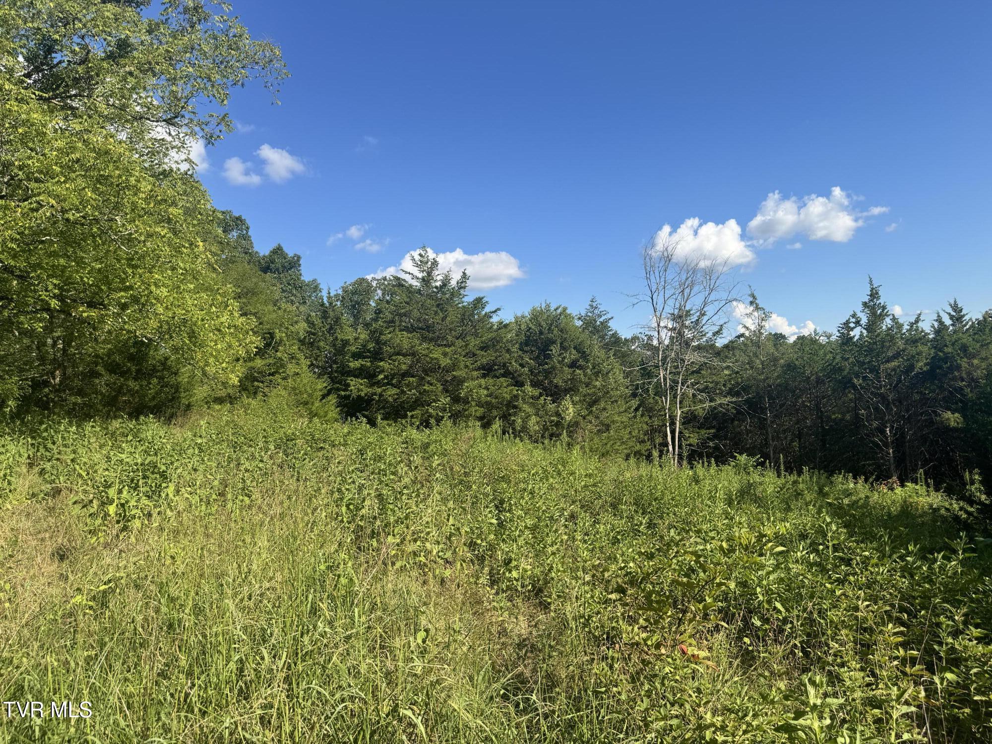 1430 Roaring Fork Road Property Photo 40