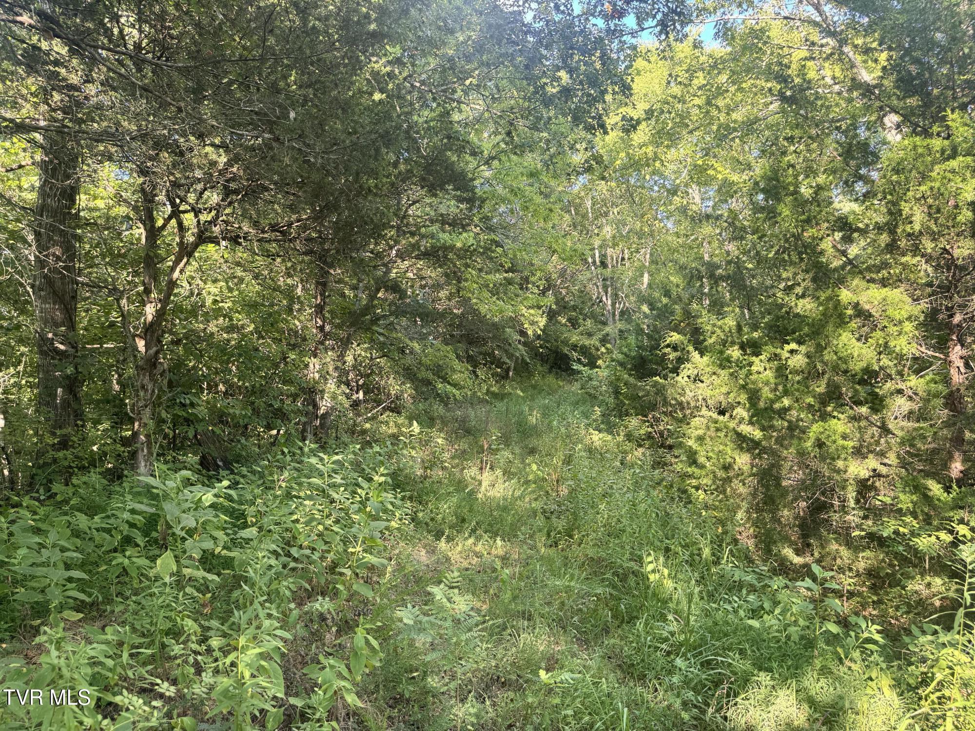 1430 Roaring Fork Road Property Photo 41