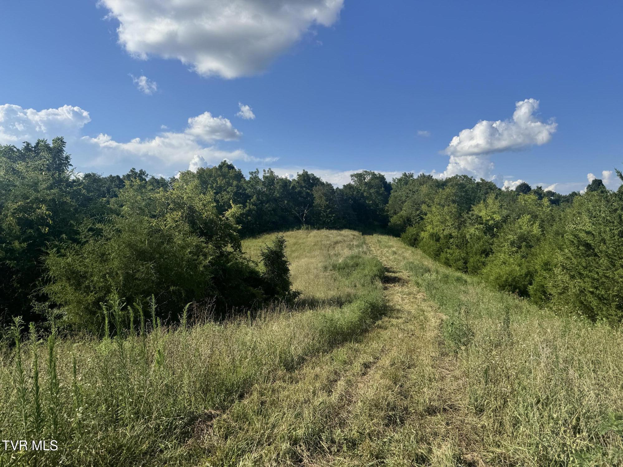 1430 Roaring Fork Road Property Photo 43