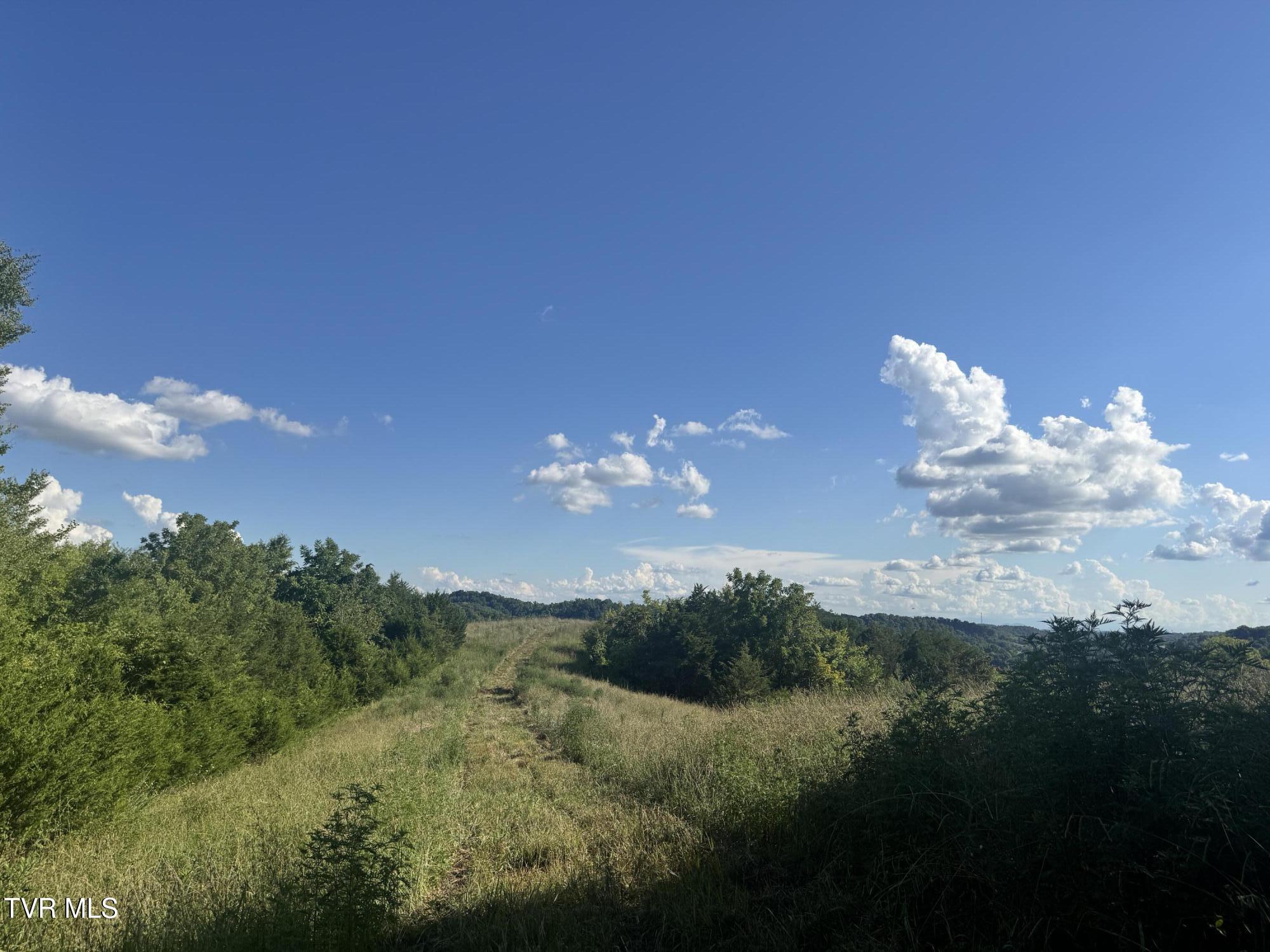 1430 Roaring Fork Road Property Photo 44