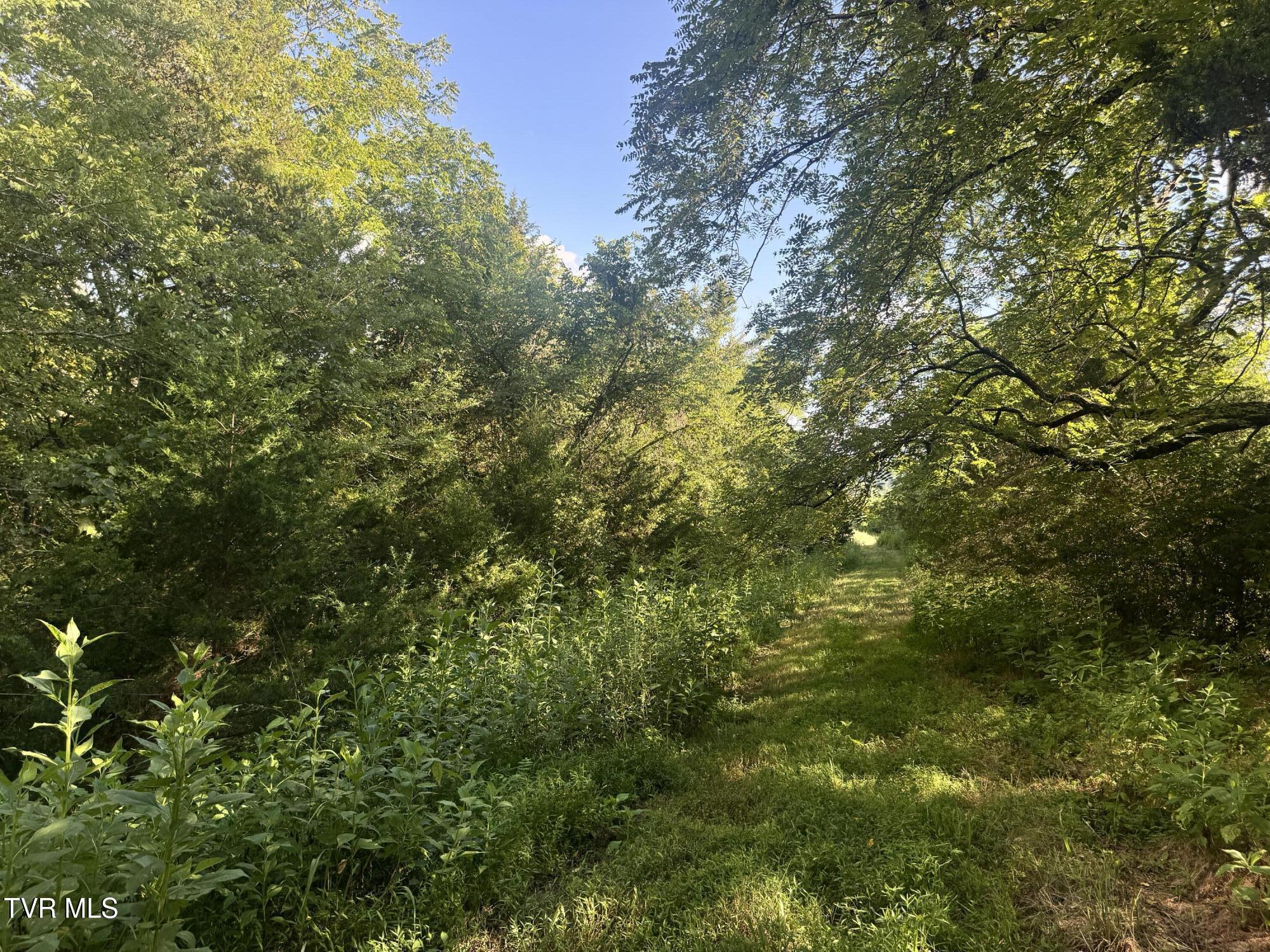 1430 Roaring Fork Road Property Photo 45