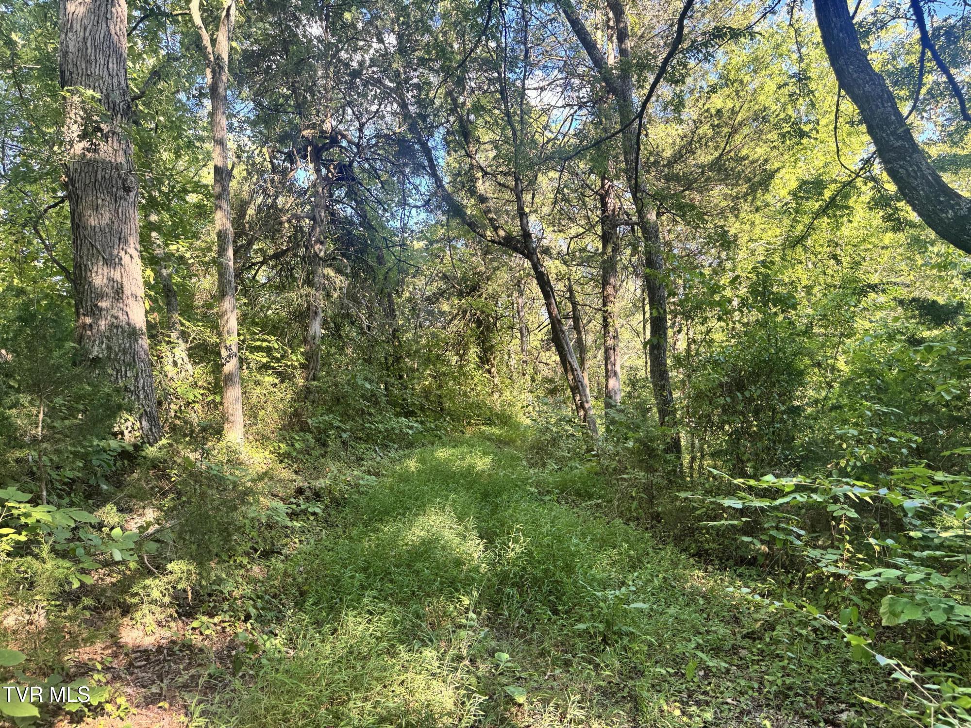 1430 Roaring Fork Road Property Photo 46