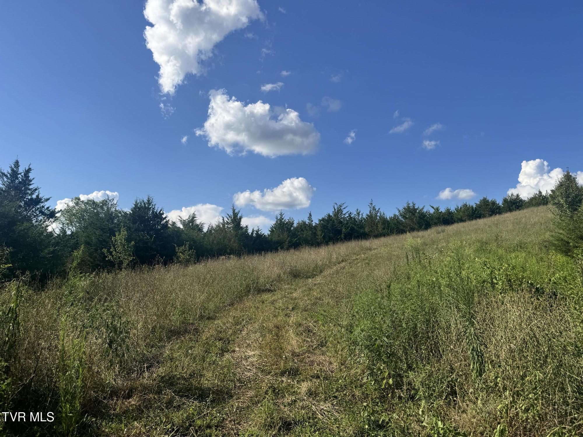 1430 Roaring Fork Road Property Photo 48