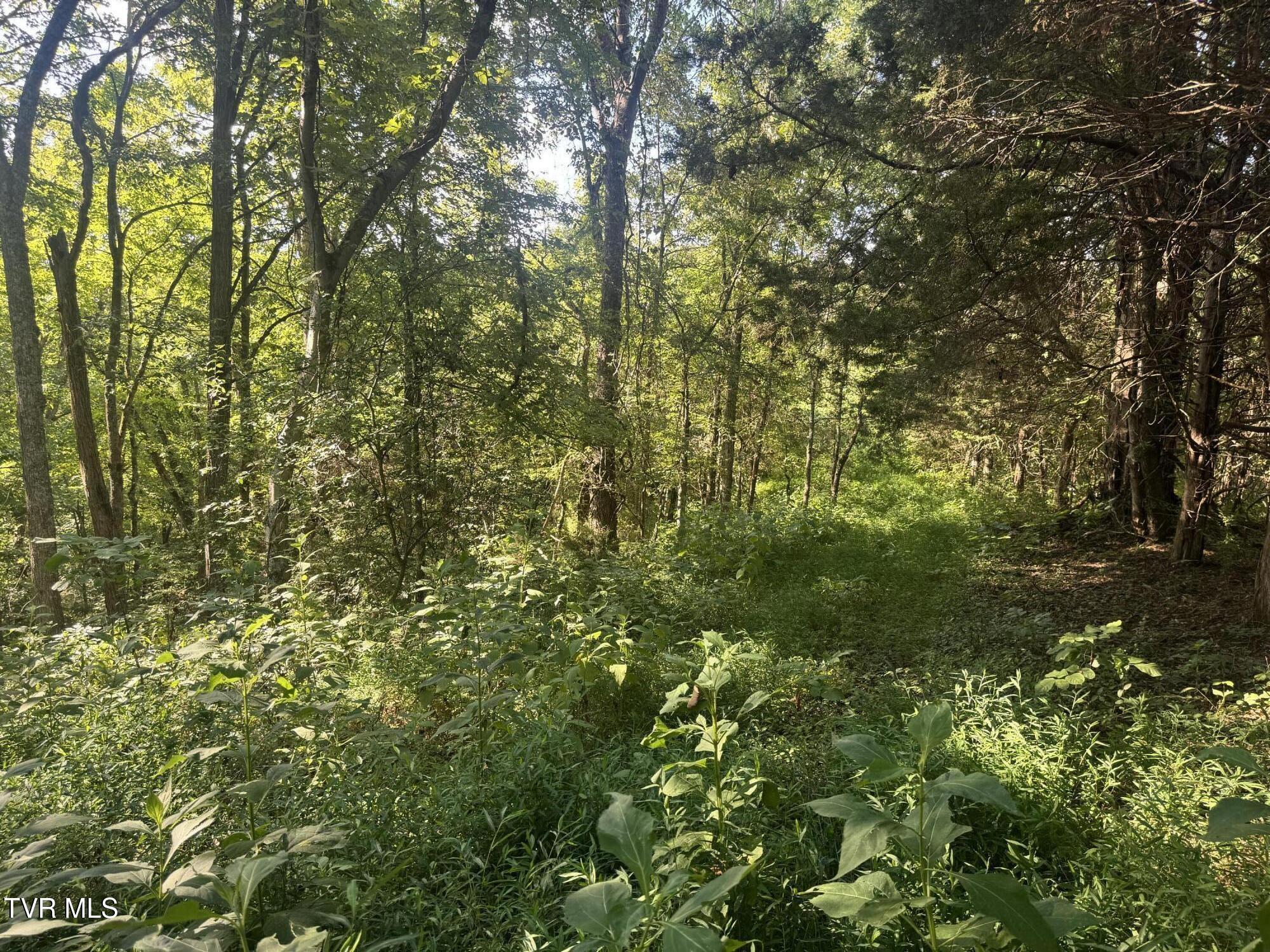 1430 Roaring Fork Road Property Photo 52