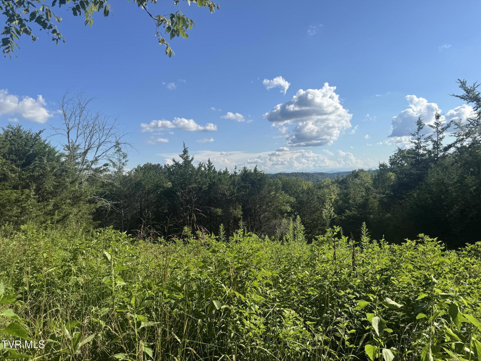 1430 Roaring Fork Road Property Photo 53