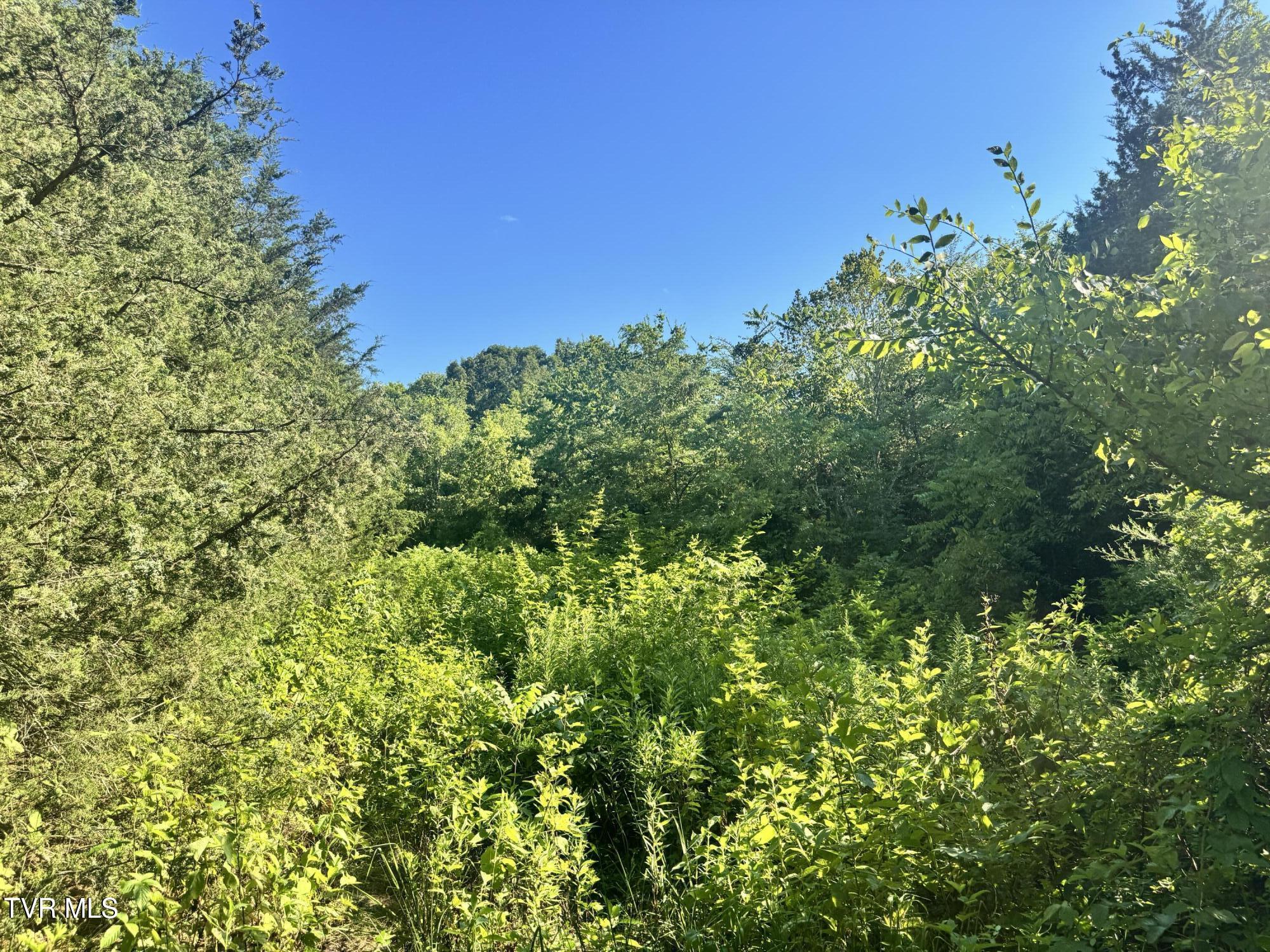 1430 Roaring Fork Road Property Photo 54