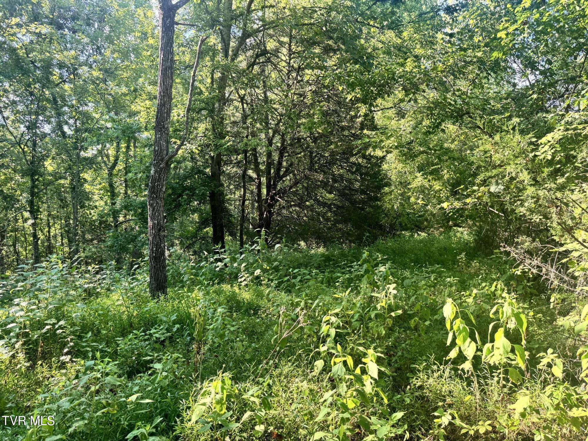 1430 Roaring Fork Road Property Photo 55