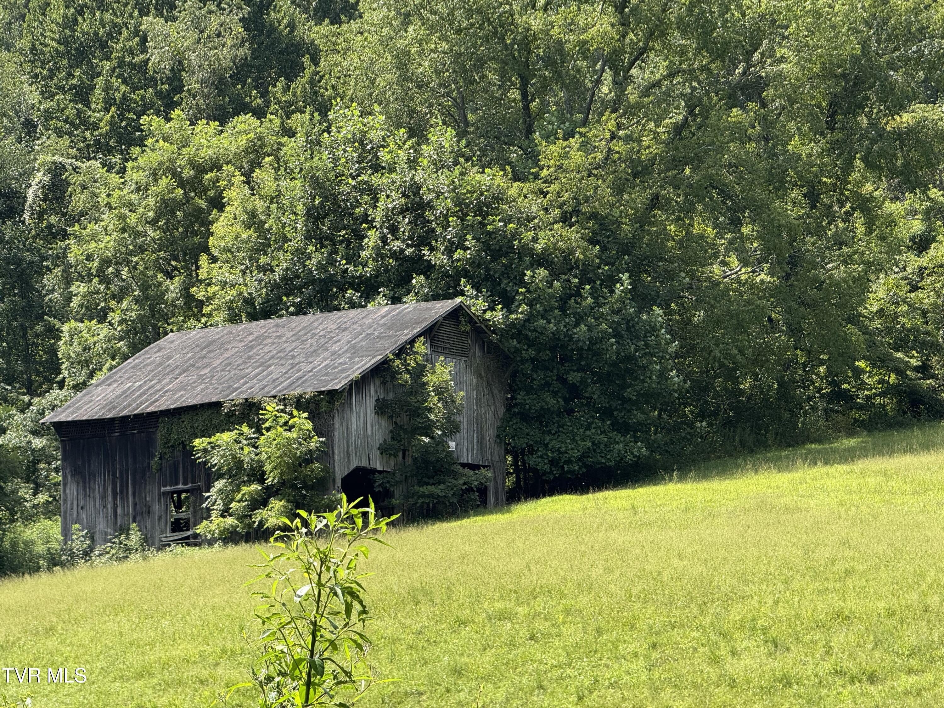000 Long Hollow Road Property Photo 3