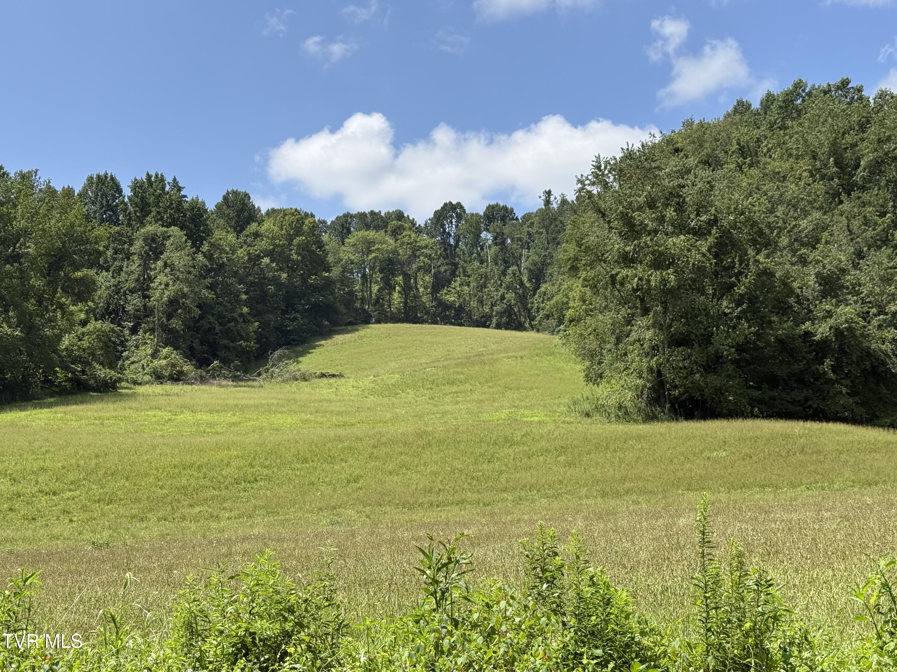 000 Long Hollow Road Property Photo 6