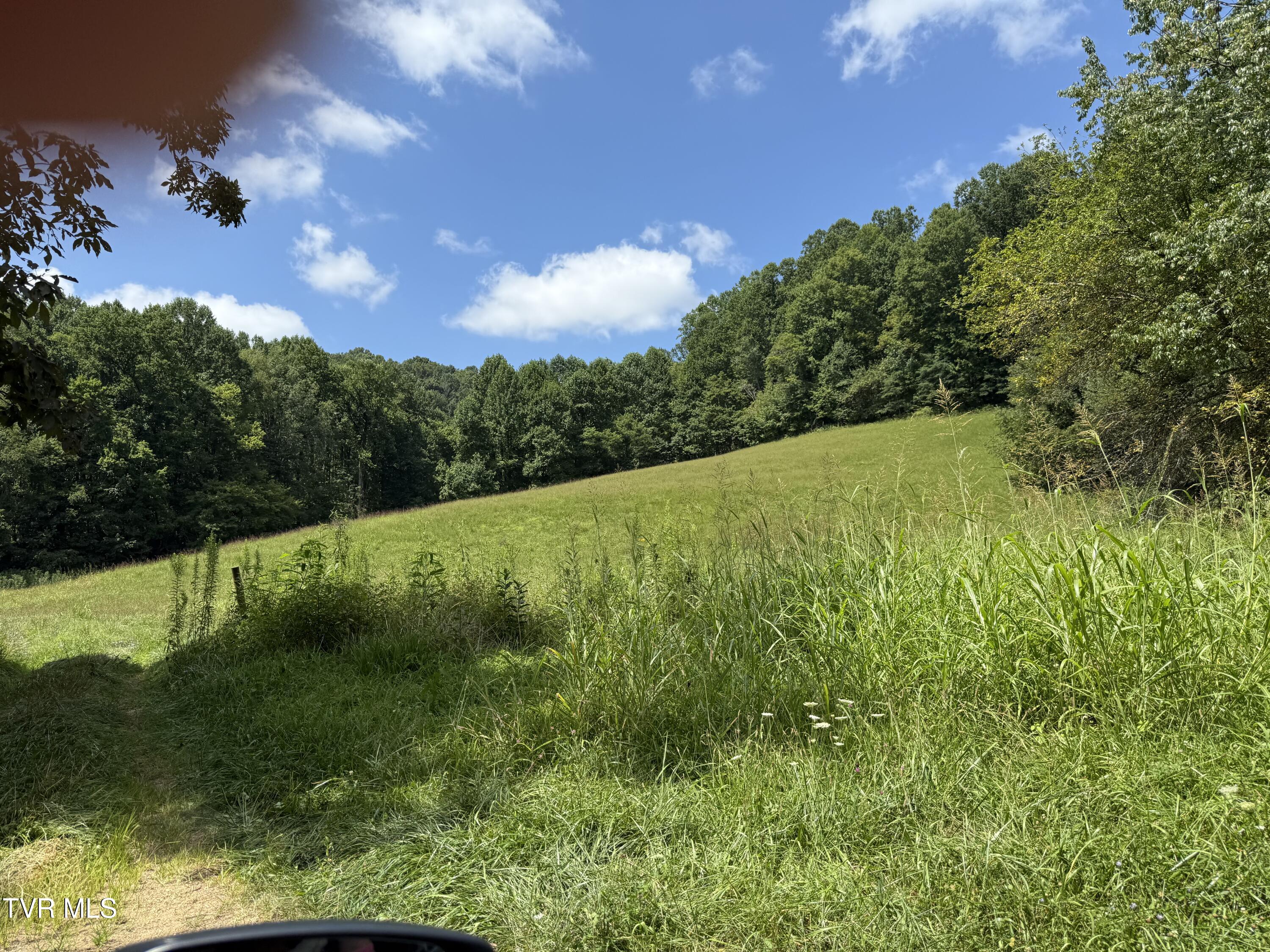 000 Long Hollow Road Property Photo 7