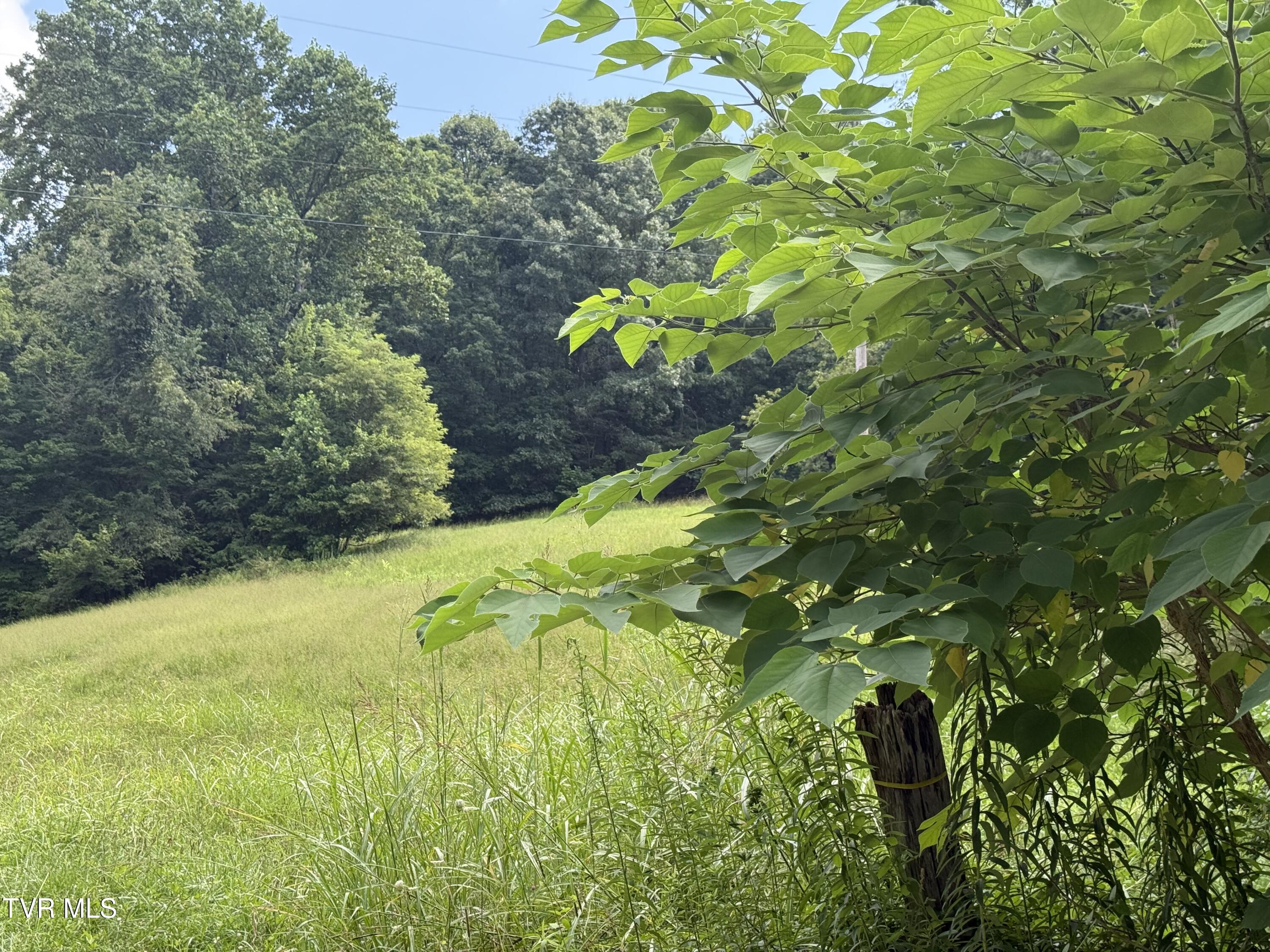 000 Long Hollow Road Property Photo 9