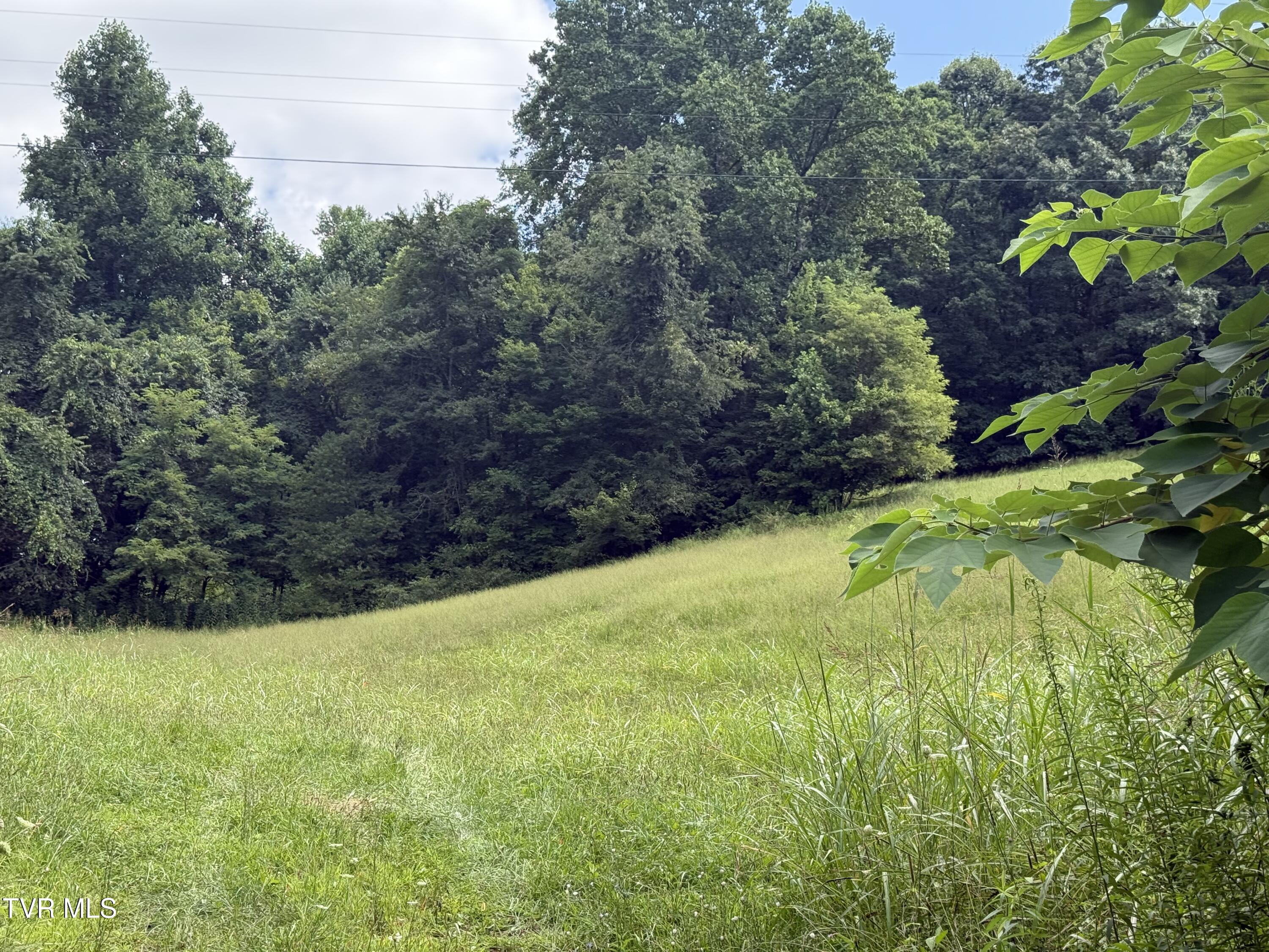 000 Long Hollow Road Property Photo 14