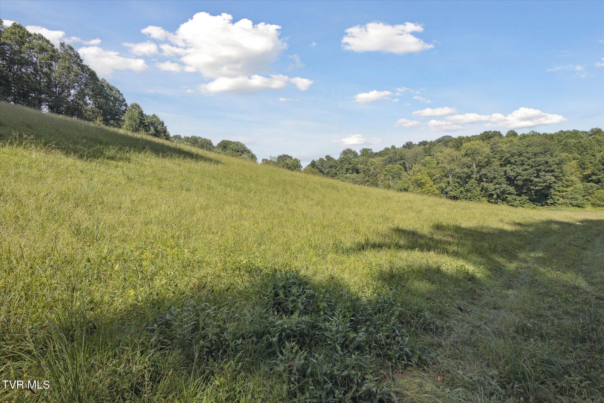 000 Long Hollow Road Property Photo 15