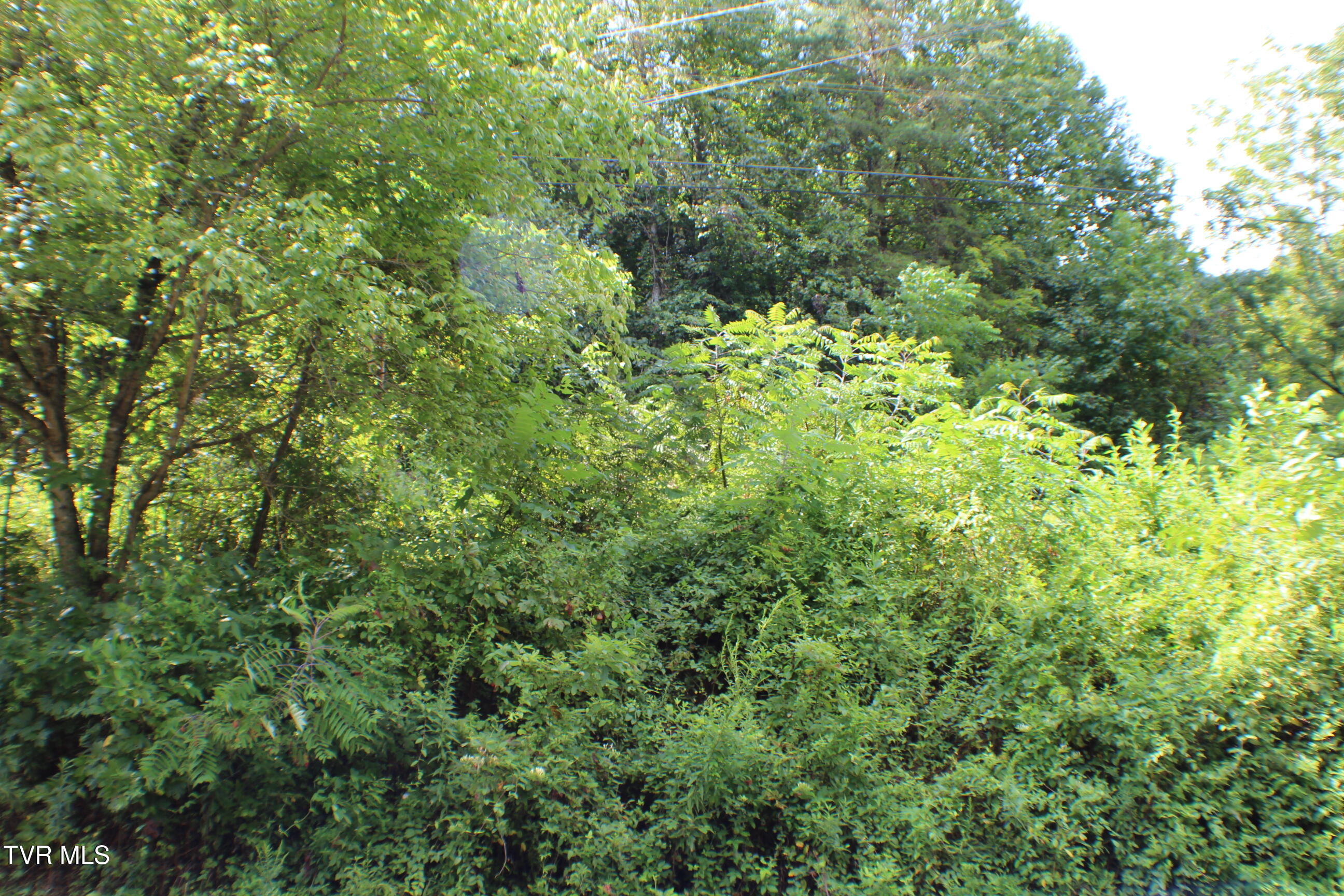 0 Early Branch Road Property Photo 3