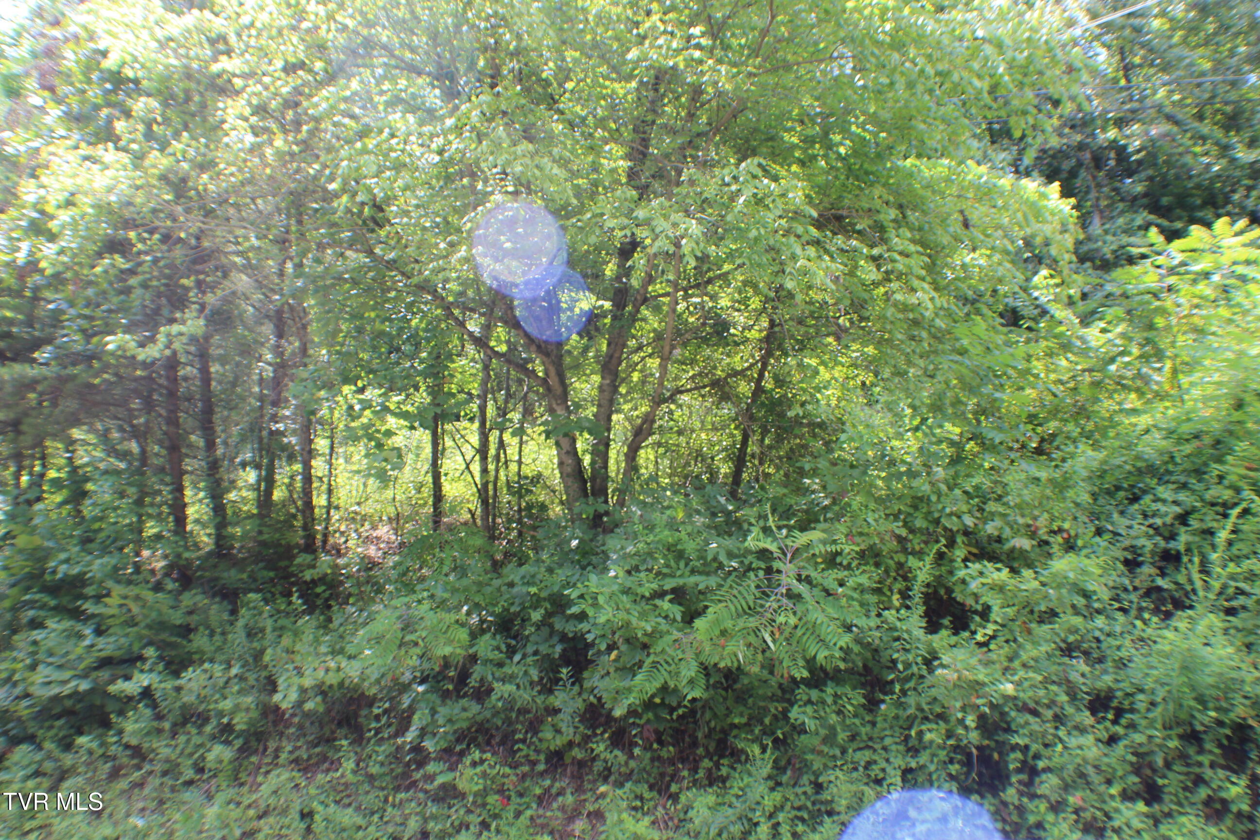 0 Early Branch Road Property Photo 4