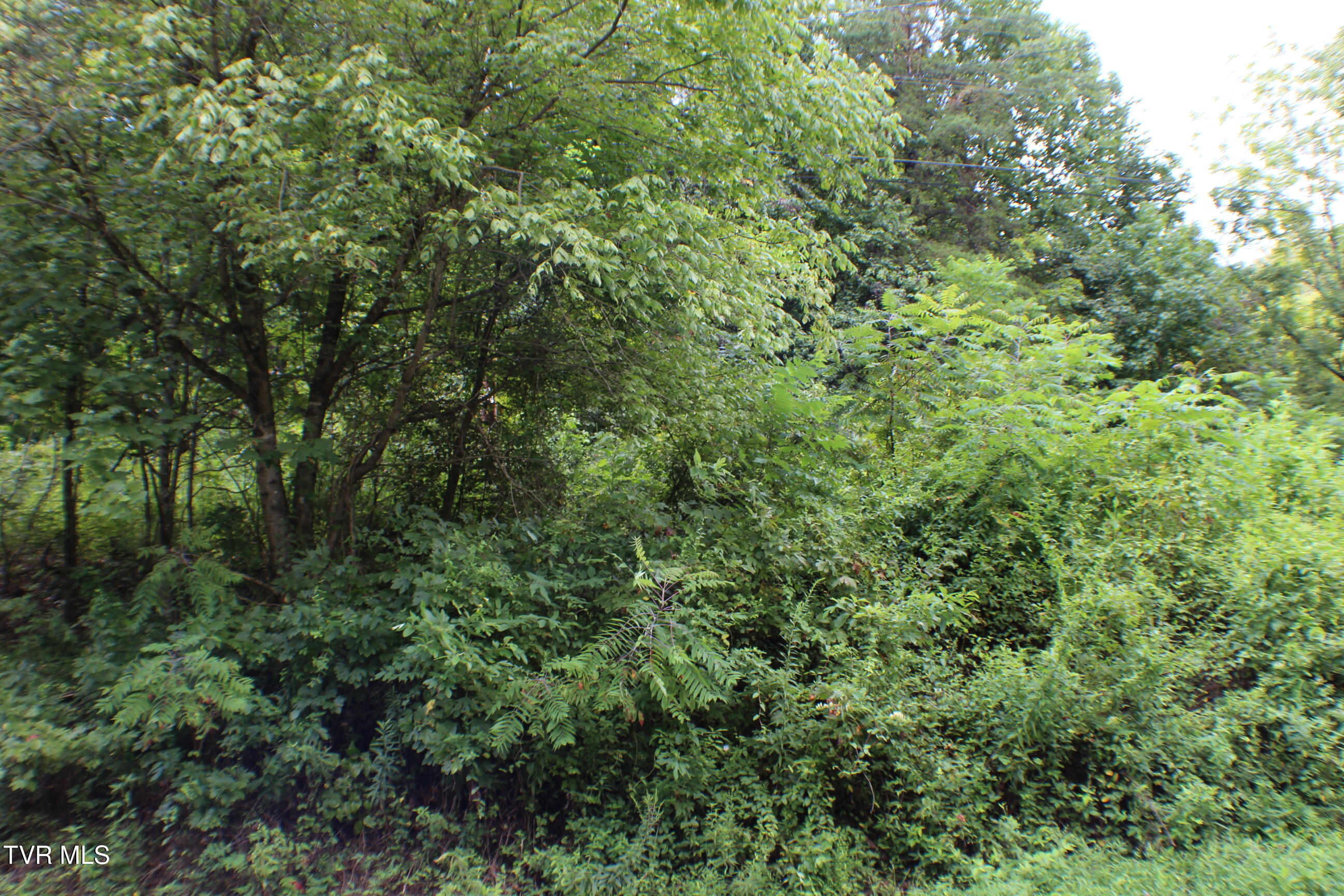 0 Early Branch Road Property Photo 6