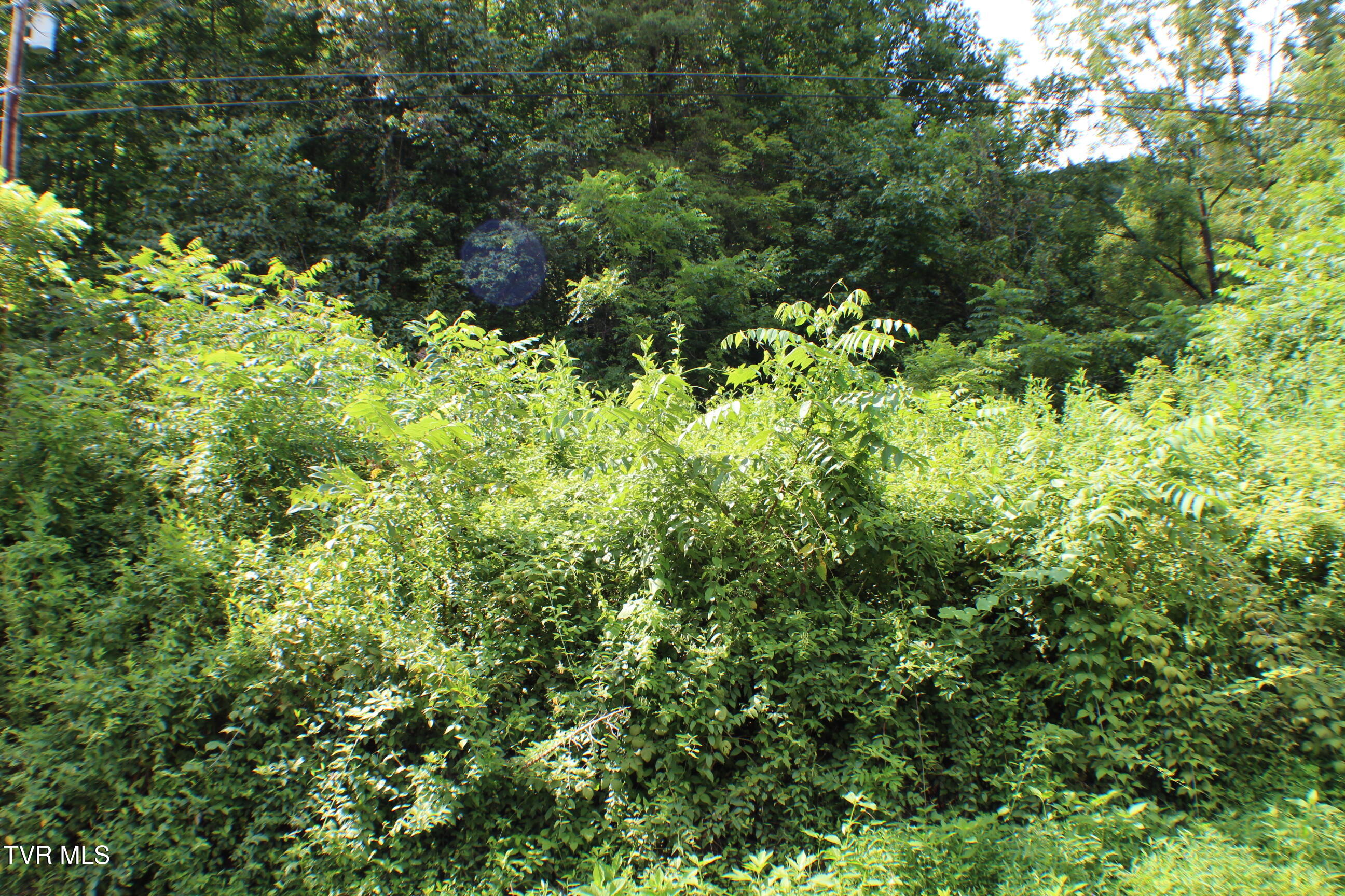 0 Early Branch Road Property Photo 7