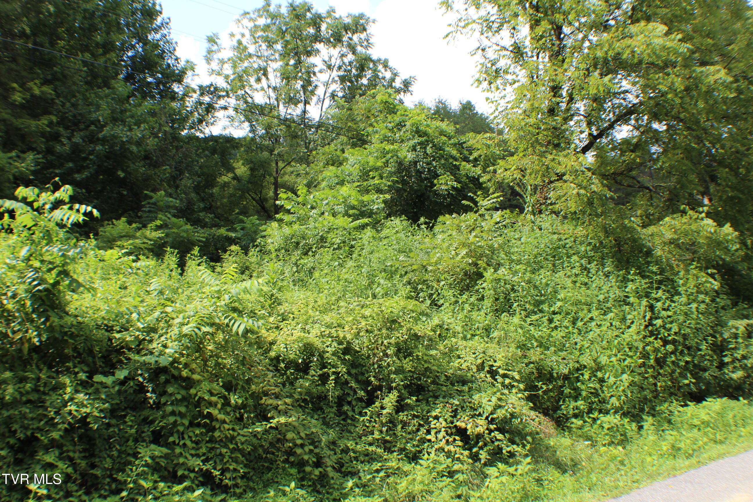 0 Early Branch Road Property Photo 8