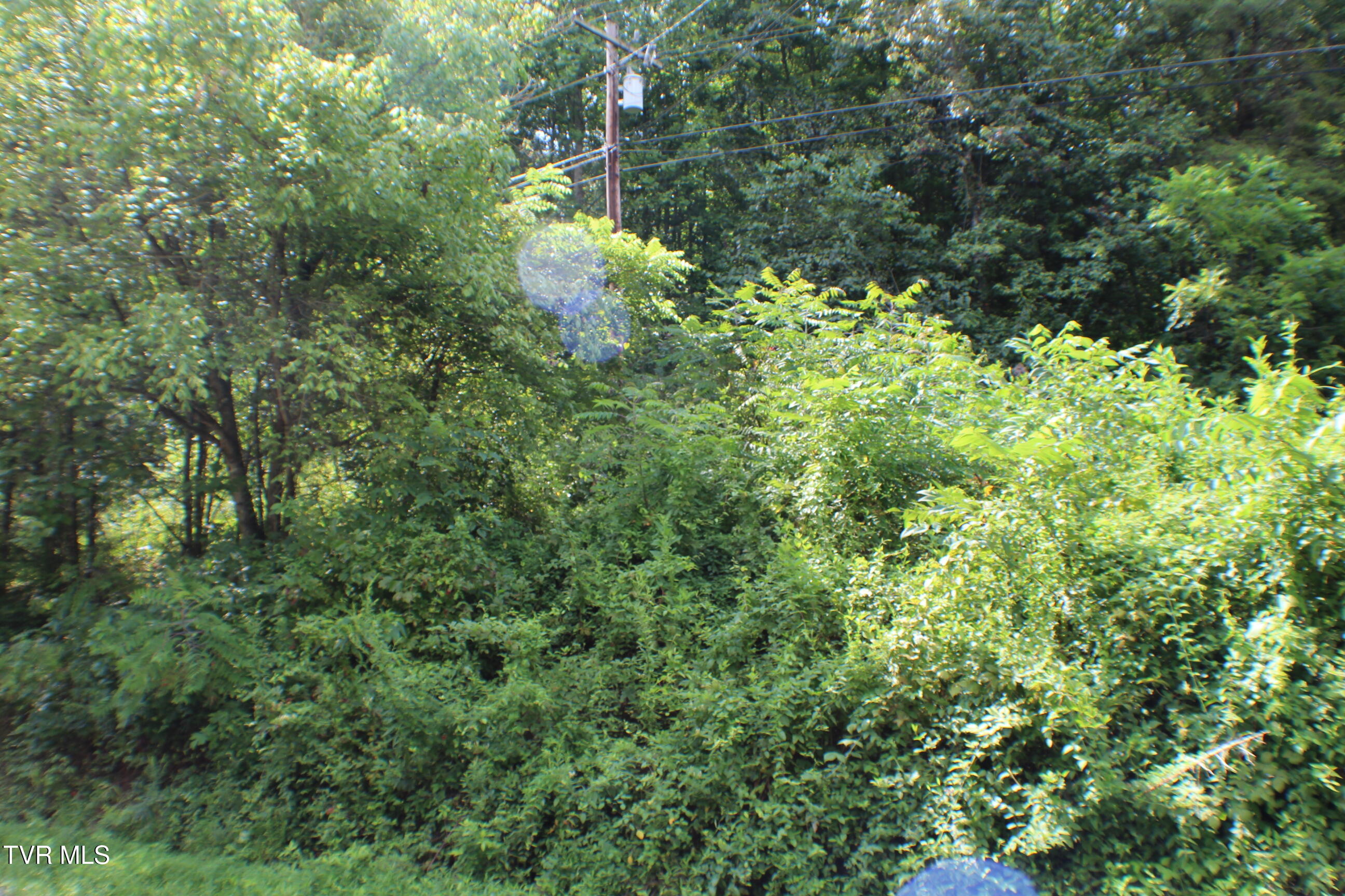 0 Early Branch Road Property Photo 9