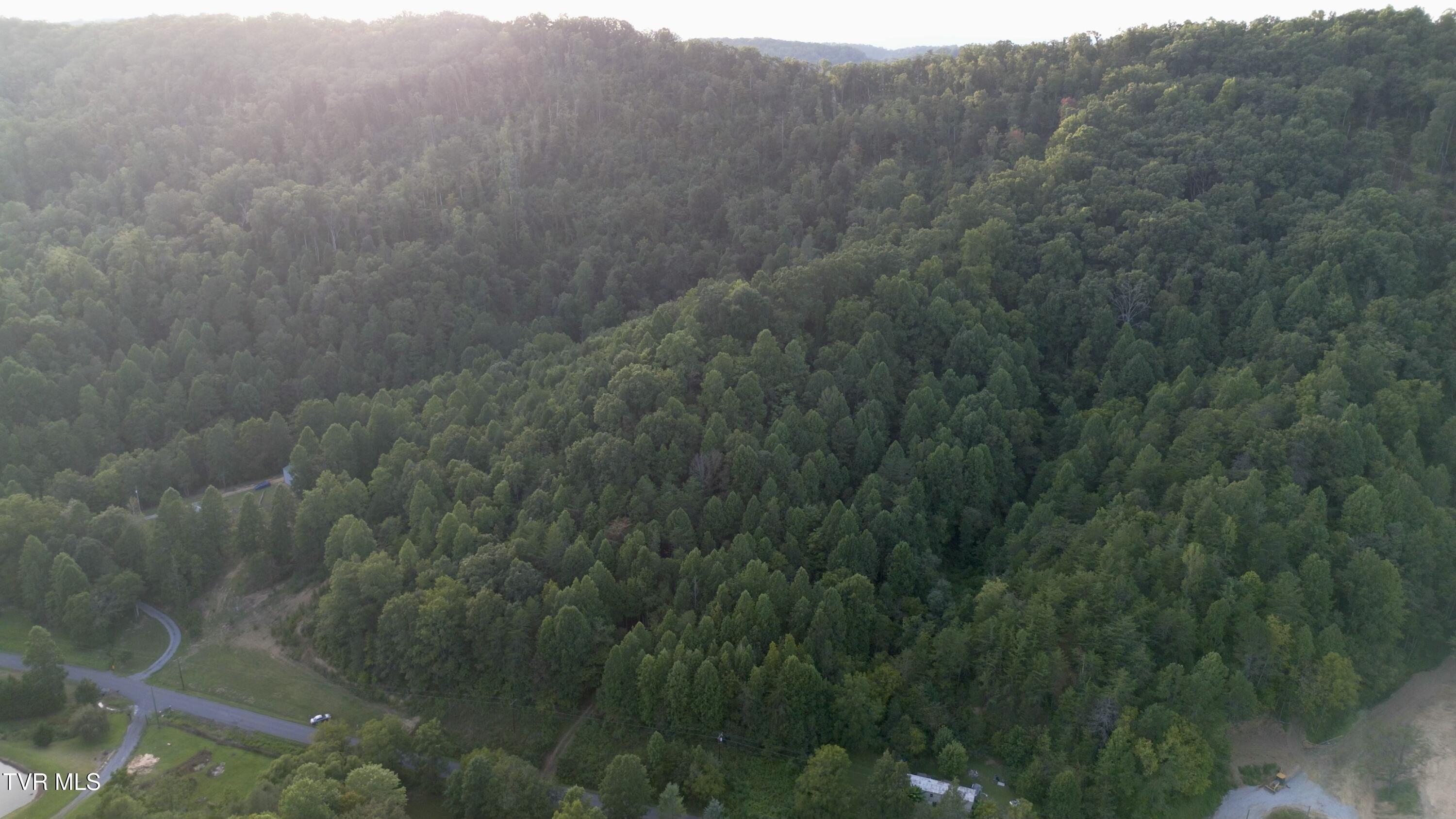 0 Early Branch Road Property Photo 10