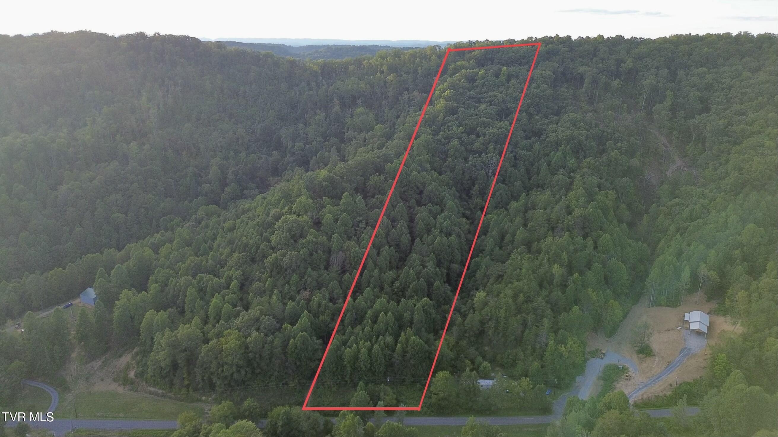 0 Early Branch Road Property Photo 11