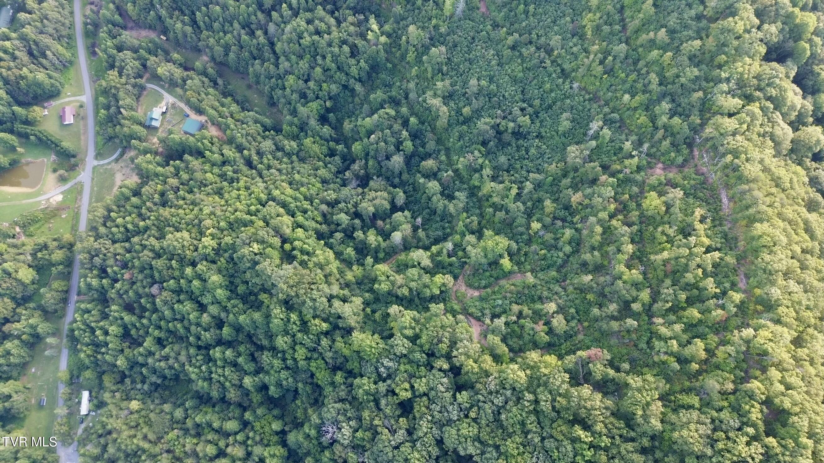 0 Early Branch Road Property Photo 13