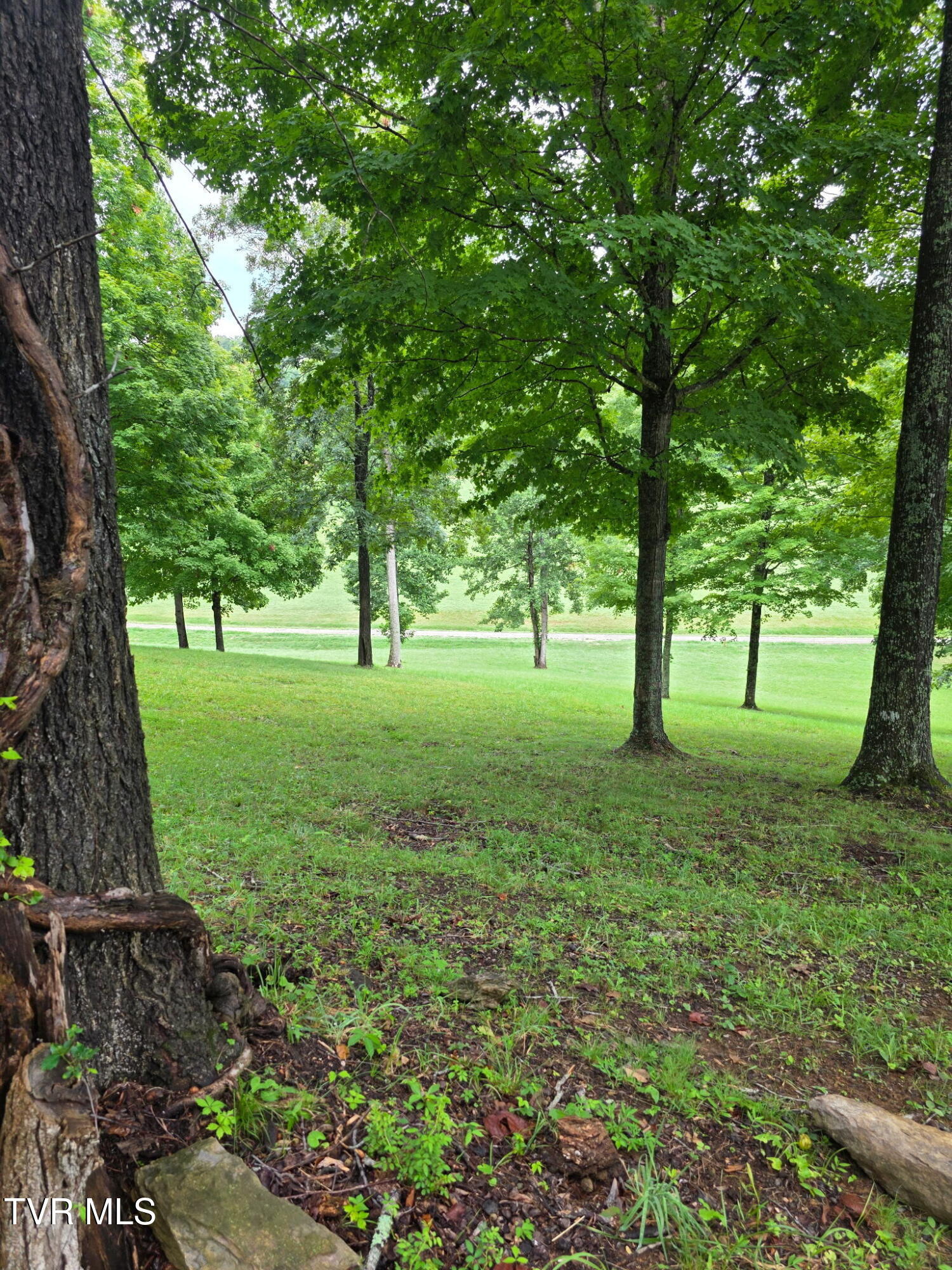 Lot 36 Summerfield Drive Property Photo 3