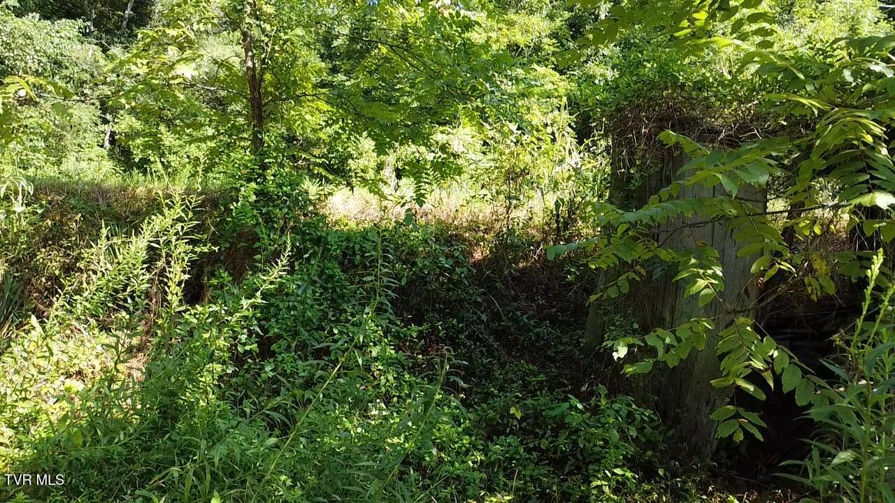 10519 Fairview Road Property Photo 6