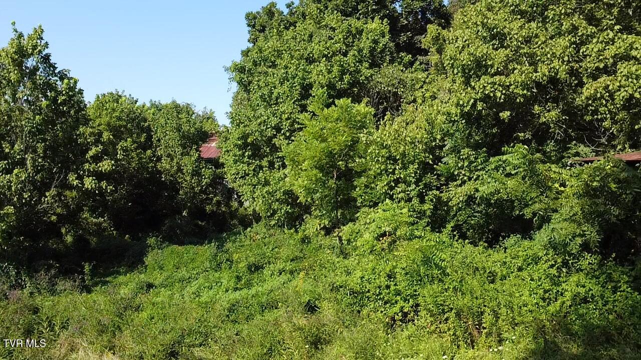 10519 Fairview Road Property Photo 11