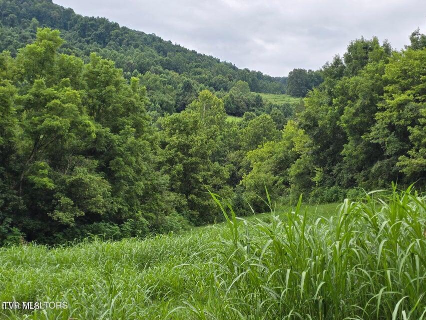 6835 Mulberry Gap Road Property Photo 2