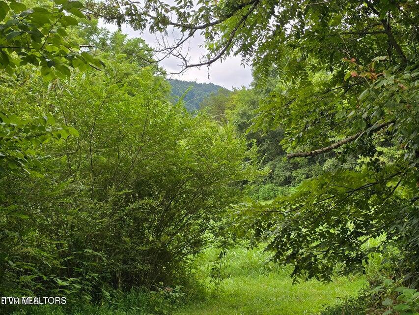 6835 Mulberry Gap Road Property Photo 3