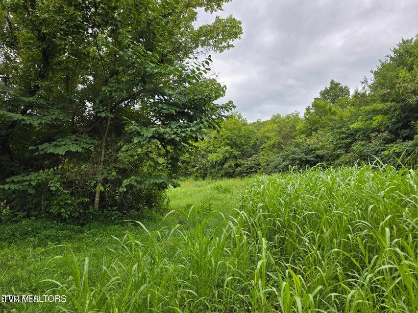 6835 Mulberry Gap Road Property Photo 4