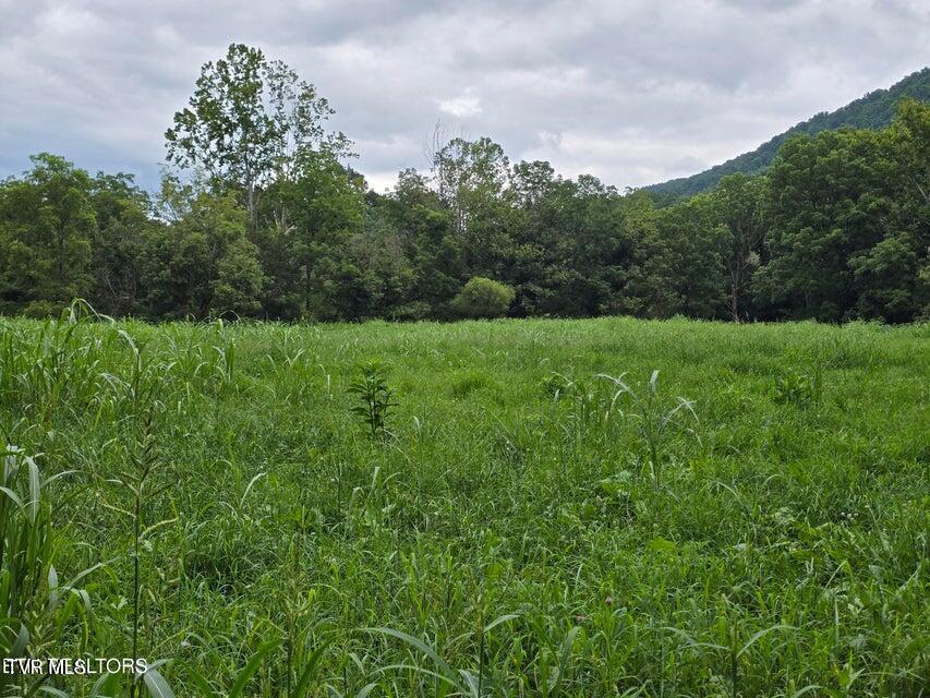 6835 Mulberry Gap Road Property Photo 5