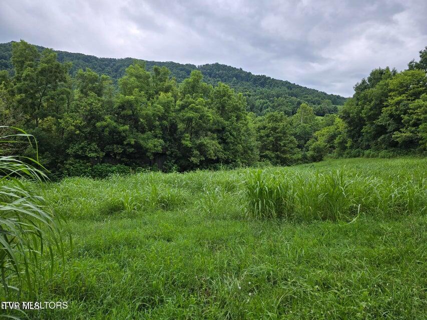 6835 Mulberry Gap Road Property Photo 6