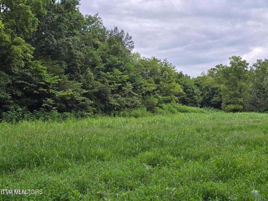6835 Mulberry Gap Road Property Photo 7