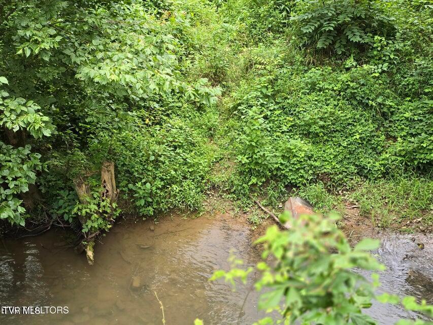 6835 Mulberry Gap Road Property Photo 12