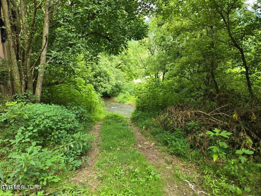 6835 Mulberry Gap Road Property Photo 18