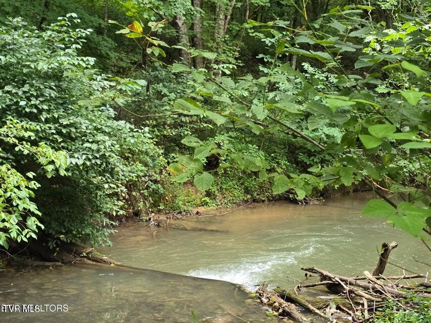 6835 Mulberry Gap Road Property Photo 19