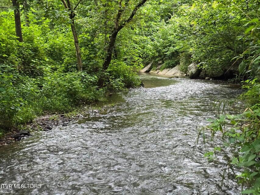 6835 Mulberry Gap Road Property Photo 20