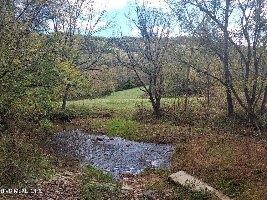 6835 Mulberry Gap Road Property Photo 31