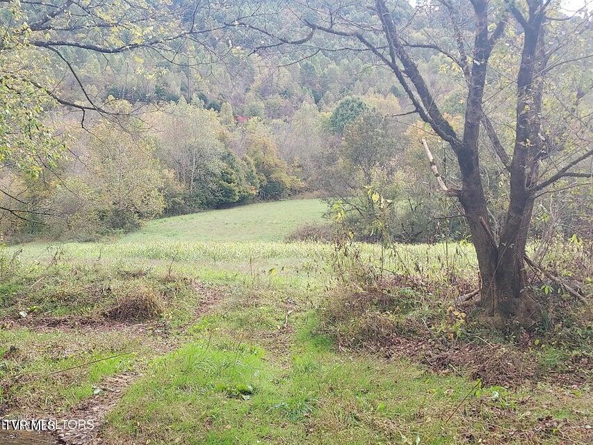 6835 Mulberry Gap Road Property Photo 32