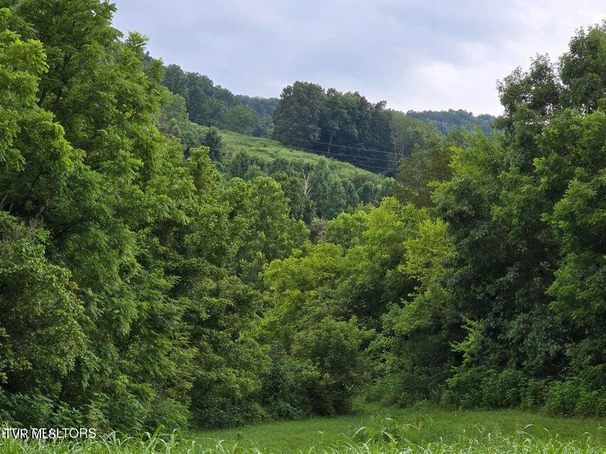 6835 Mulberry Gap Road Property Photo 34