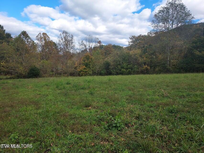 6835 Mulberry Gap Road Property Photo 35