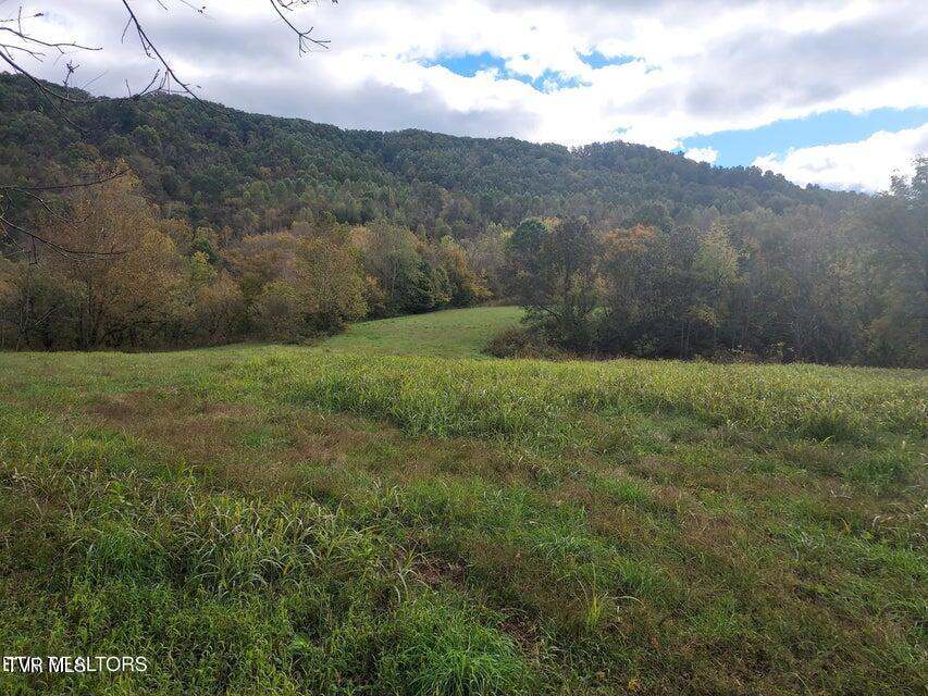 6835 Mulberry Gap Road Property Photo 36
