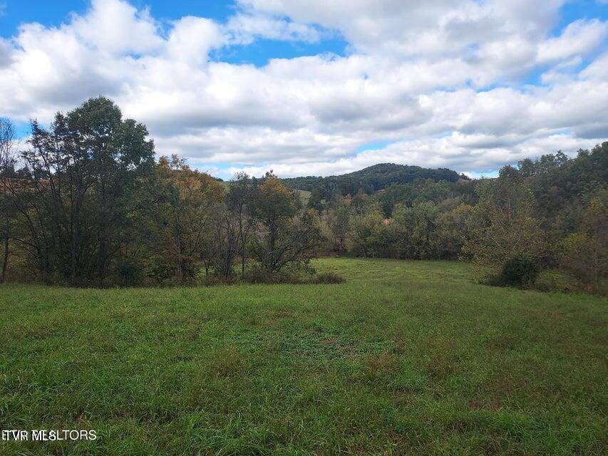 6835 Mulberry Gap Road Property Photo 37