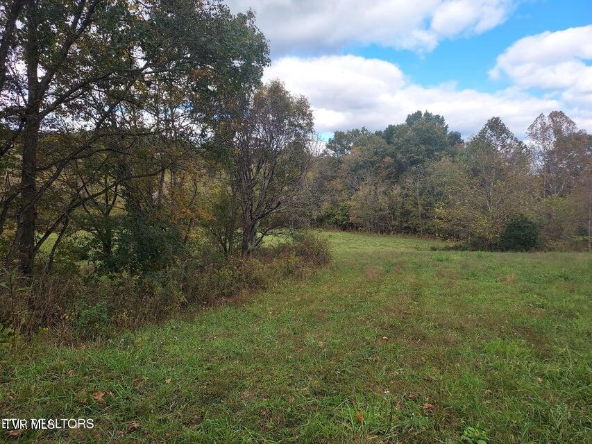 6835 Mulberry Gap Road Property Photo 38