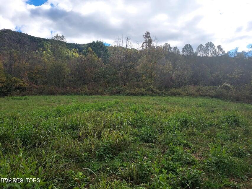 6835 Mulberry Gap Road Property Photo 39